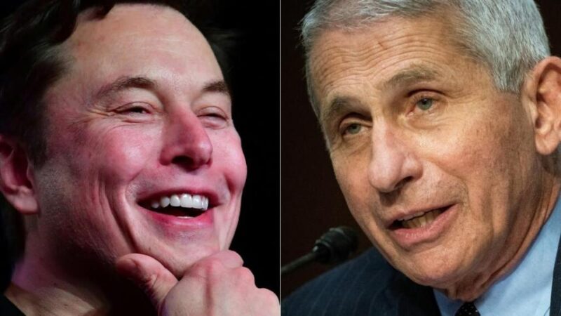 In latest dig, Elon Musk targets Anthony Fauci: ‘My pronouns are prosecute or…’