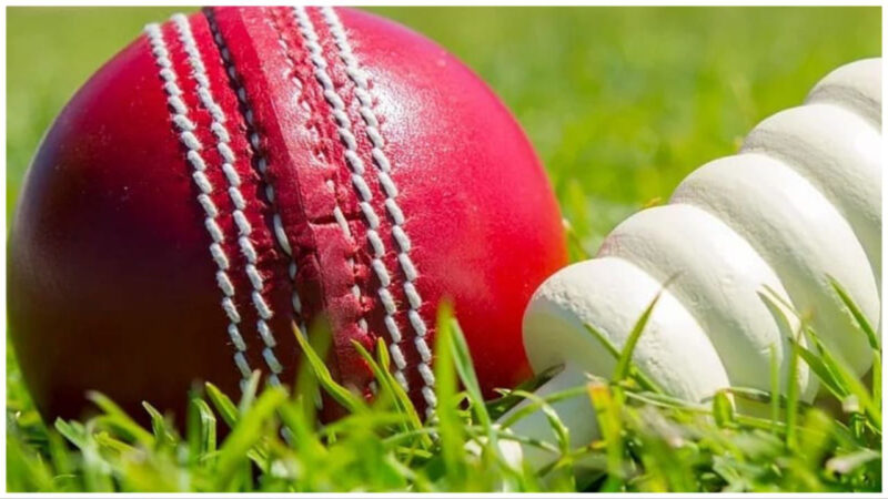 Know the Pitch and Weather Conditions before Creating your Dream11 Team